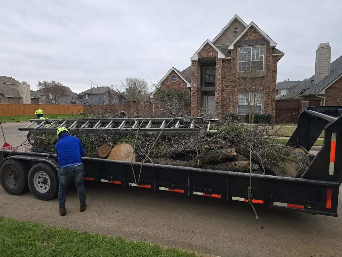 Expert Tree Fertilization with proper safety equipment in Winneconne